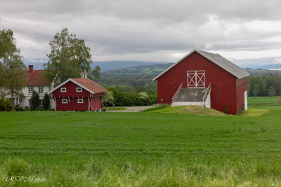 Vallée de Hallingdal, Norvège