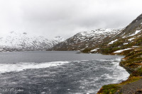 Plateau de Valdresflya, Norvège