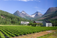 Vallée de Valldal, Norvège