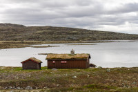 Plateau de l'Hargangervidda