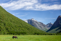 Vallée de Valldal, Norvège