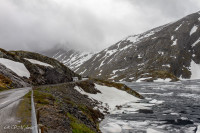 Plateau de Valdresflya, Norvège