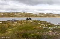 Plateau de l'Hargangervidda