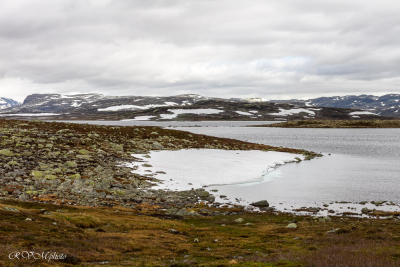 Plateau de l'Hargangervidda