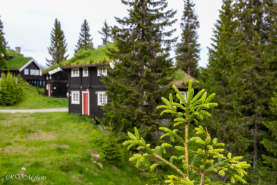 Ringebu, Norvège