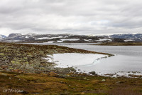 Plateau de l'Hargangervidda