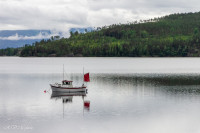 Vallée de Hallingdal, Norvège