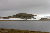 Plateau de l'Hargangervidda