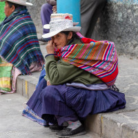 Région du canyon de Colca - Pérou 2018