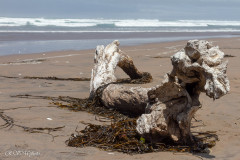 Cote Pacifique, La Punta - Pérou 2018