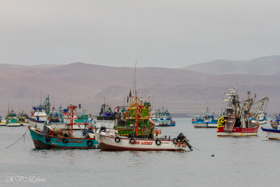 Paracas, Pérou
