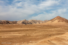Désert côte ouest - Pérou 2018