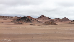 Désert côte ouest - Pérou 2018