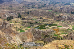 Canyon de Colca - Pérou 2018