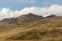 Réserve d'Aguada Blanca - Pérou 2018