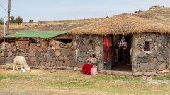 Altiplano - Pérou 2018