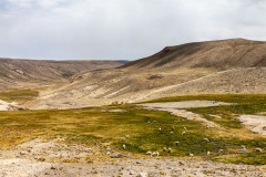 La Puna - Pérou 2018