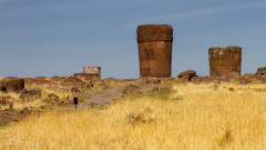 Cullpas de Sillustani - Pérou 2018