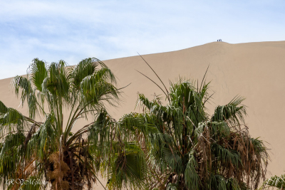 Oasis Huacachina, Pérou