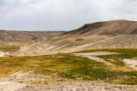 La Puna - Pérou 2018