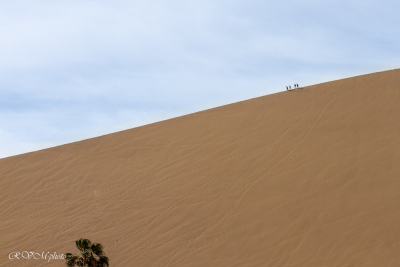 Oasis Huacachina, Pérou