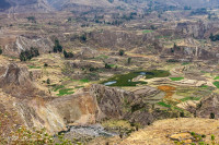 Canyon de Colca - Pérou 2018