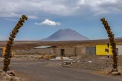 Volcan Misti - Pérou 2018
