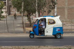 Oasis Huacachina, touc-touc - Pérou 2018