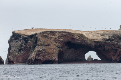 Iles Balestas, Pérou