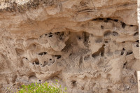 Colca de Yanque (greniers andins) - Pérou 2018