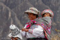 Canyon de Colca - Pérou 2018