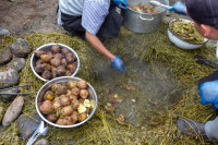 Pachamanca à Cabanaconde - Pérou 2018