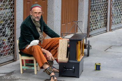 Musiciens de rue, Porto, Portugal