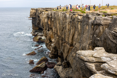 Cap des Cormorans
