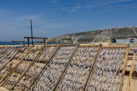 Sèchage du poisson, Nazaré