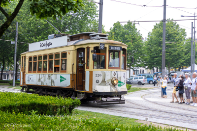 Tramway, Porto