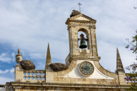 Nids de cigognes, Faro