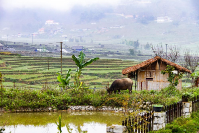 Village à Sapa, Vietnam