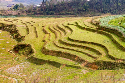 Terrasses Sapa, Vietnam