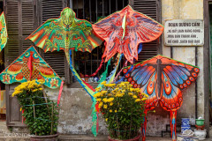 Cerf volants à Hoï An, Vietnam 2020