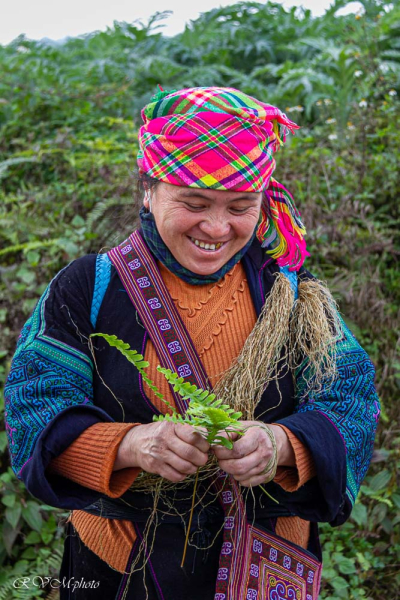 Femme Hmong, Sapa, Vietnam