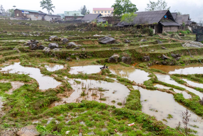 Village à Sapa, Vietnam