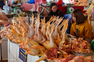 Marché à Sapa, Vietnam