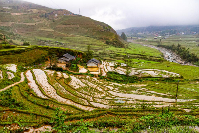 Terrasses près de Sapa, Vietnam